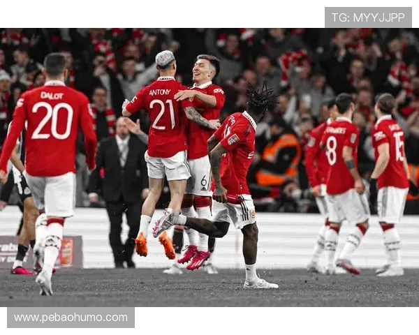 曼联力挺达洛特盼卡里克表态