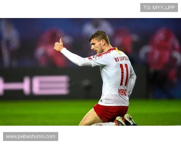 霍芬海姆逆袭挺进欧冠全程揭秘